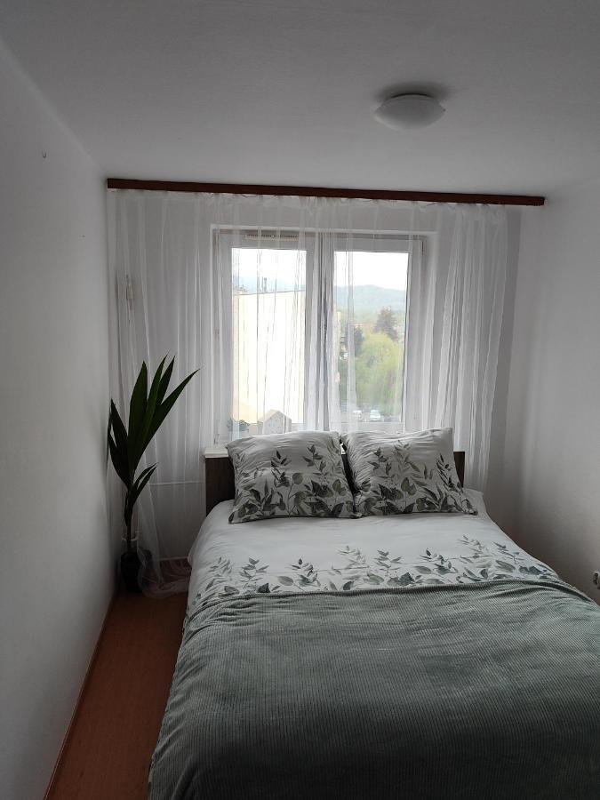 Apartament Sweet Dreams Apartment Sanok Exterior photo